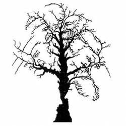 Blackpest : Satanic Creation Ov Madness